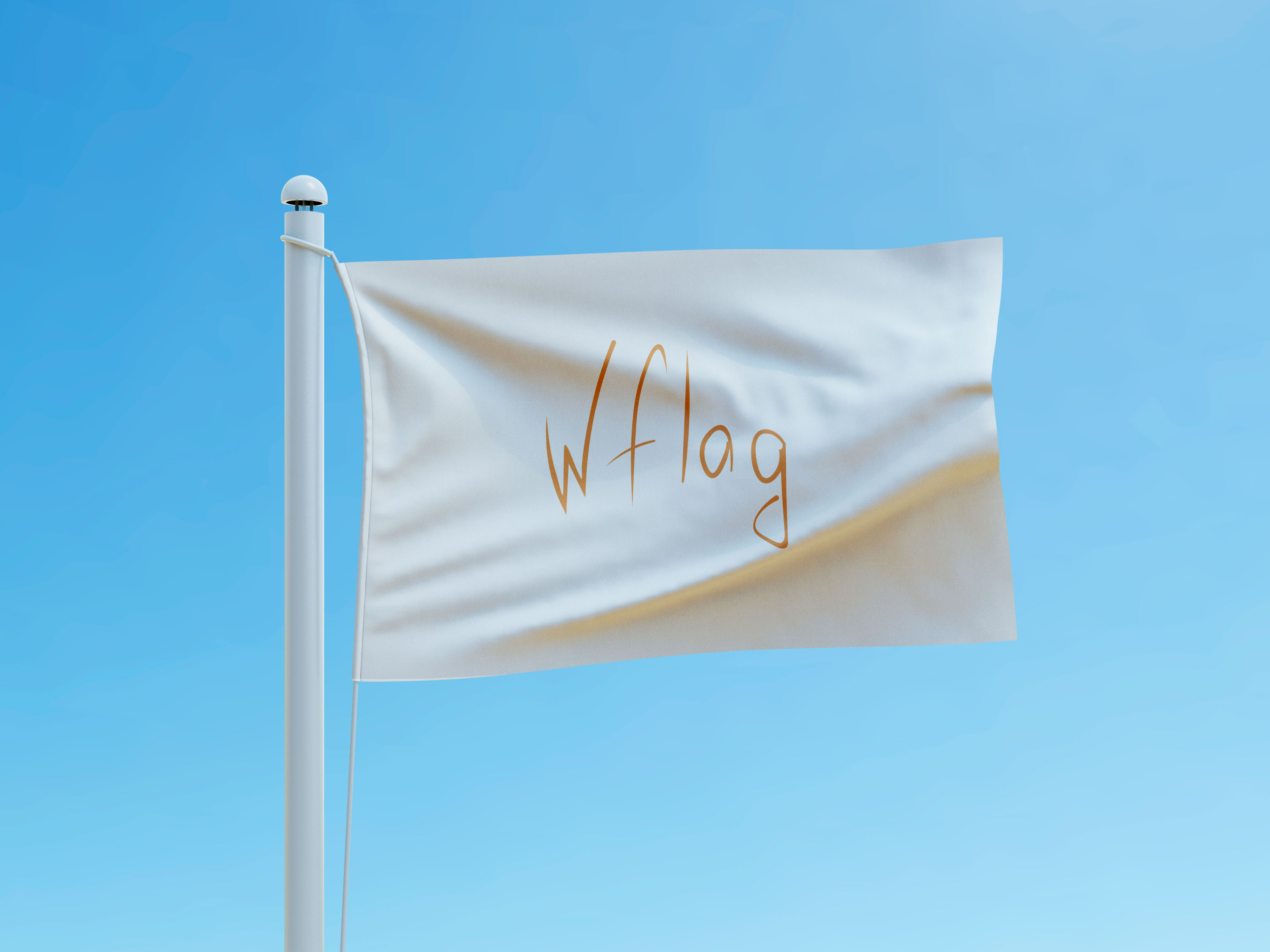 Флаги стандартных размеров